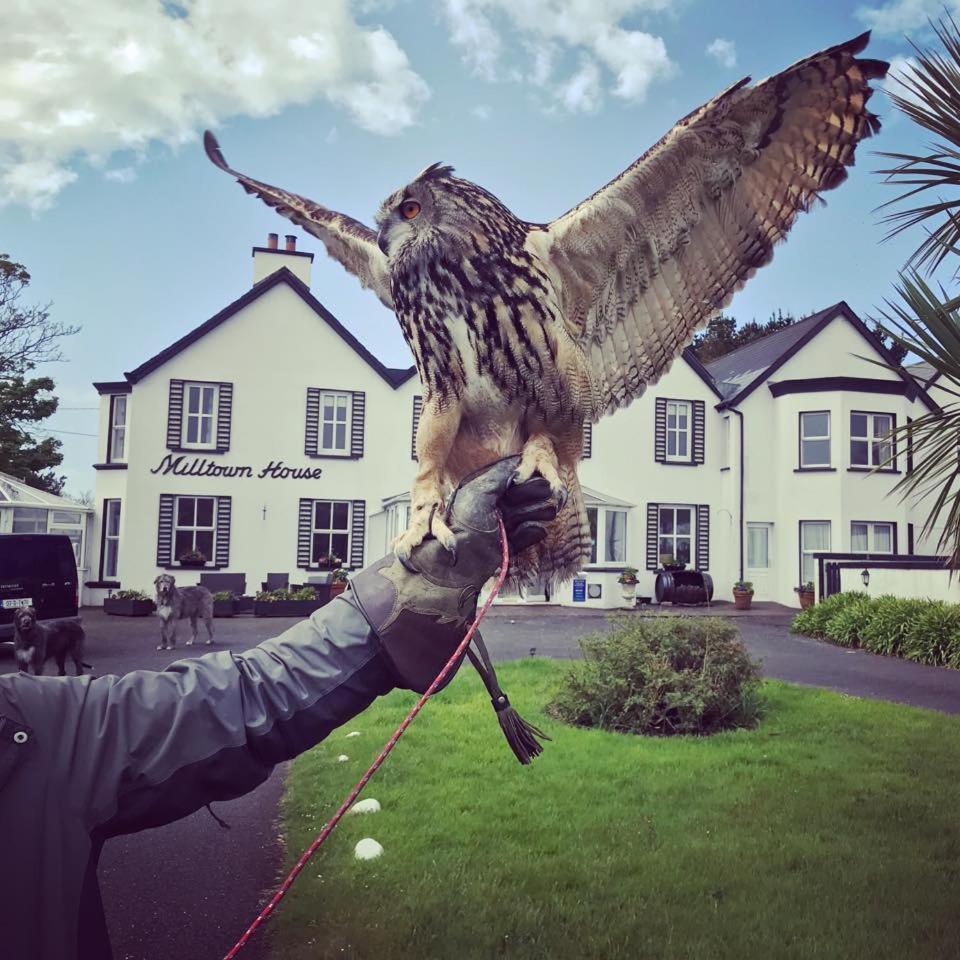 ホテル Milltown House ディングル エクステリア 写真