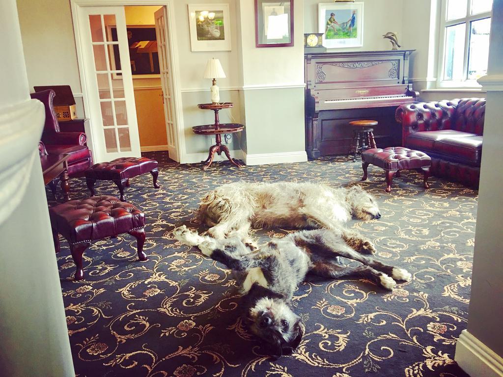 ホテル Milltown House ディングル エクステリア 写真